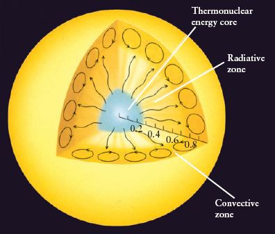 The Sun's Internal Structure