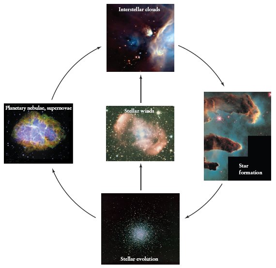 The Stellar Cycle of Life image