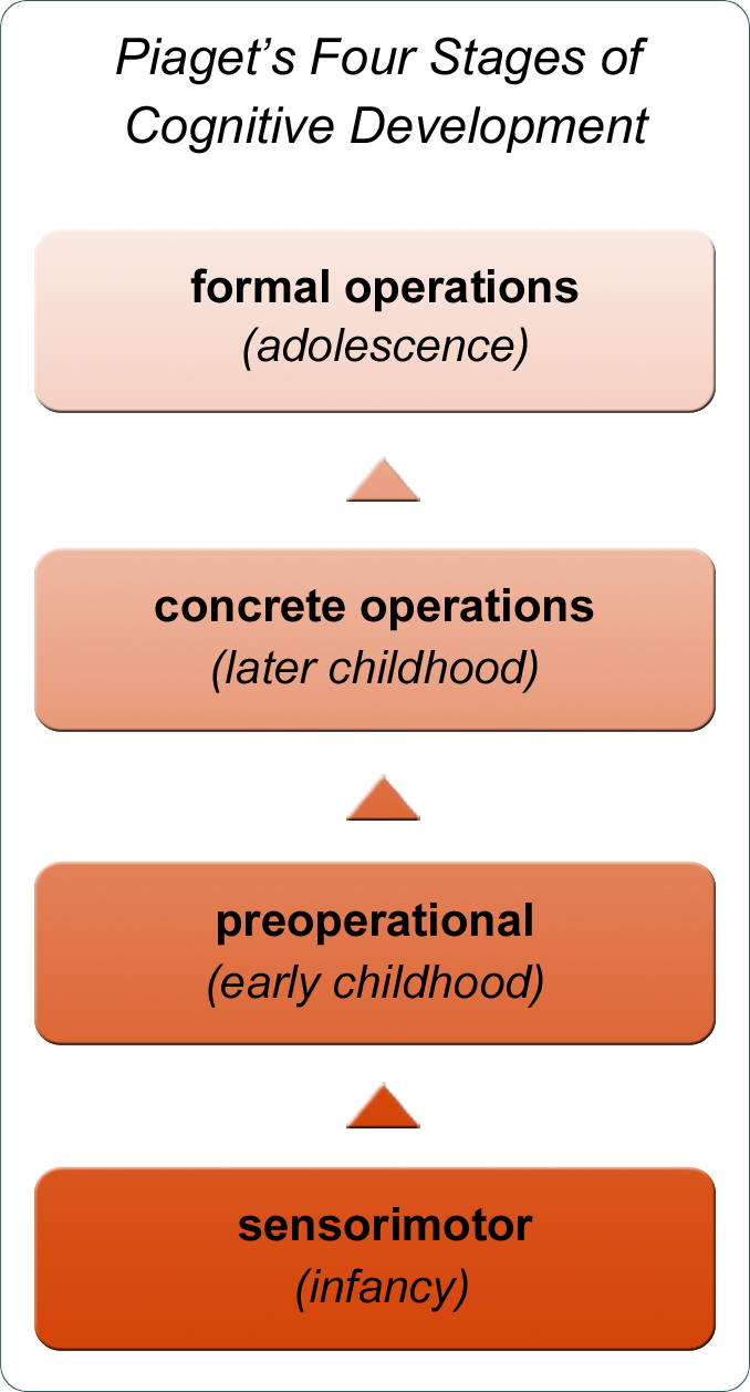 A chart showing Piaget’s Four Stages of Cognitive Development.  Sensorimotor stage is affiliated with infancy.  Preoperational stage is affiliated with early childhood.  Concrete operational stage is affiliated with later childhood.  Formal operational stage is affiliated with adolescence.