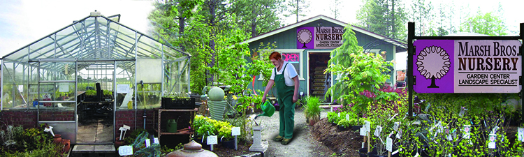 Randy works in a plant nursery after therapy.