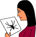 Patient holds a picture of a spider in her hands.