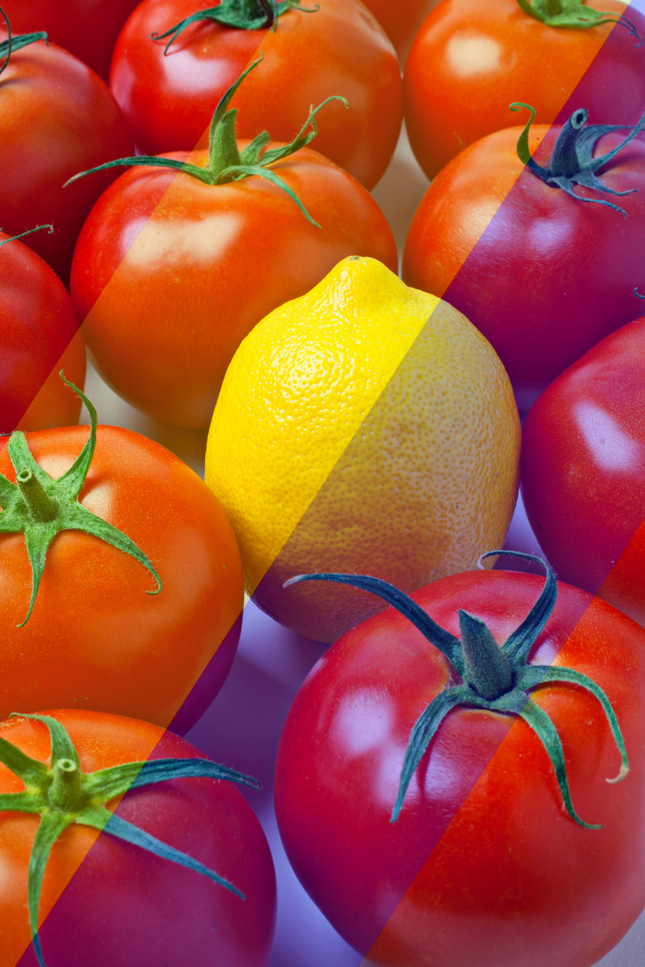 Red tomatoes with a yellow lemon in the middle.  Transparent yellow and blue bands of color are overlayed on the photo but the tomatoes still seem to be red and the lemon still seems to be yellow.
