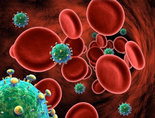illustration of blood cells with viruses mixed in