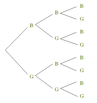 Tree Diagram for a Three-Child Family