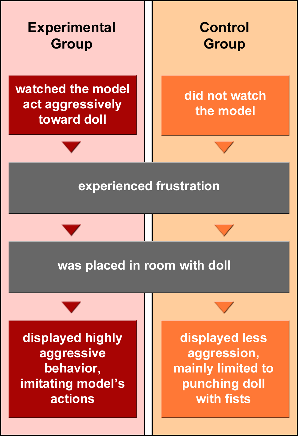 A flow chart summaries the results of Bandura’s experiment. The experimental group watched the adult model act aggressively toward the doll, then experienced frustration, and were placed in a room with the Bobo doll. The children in the experimental group displayed highly aggressive behavior that imitated the model’s actions. The control group did not watch the adult model act aggressively toward the doll, then experienced frustration, and were placed in a room with the Bobo doll. The children in the control group displayed less aggression, and their aggression was mainly limited to punching the doll with their fists.