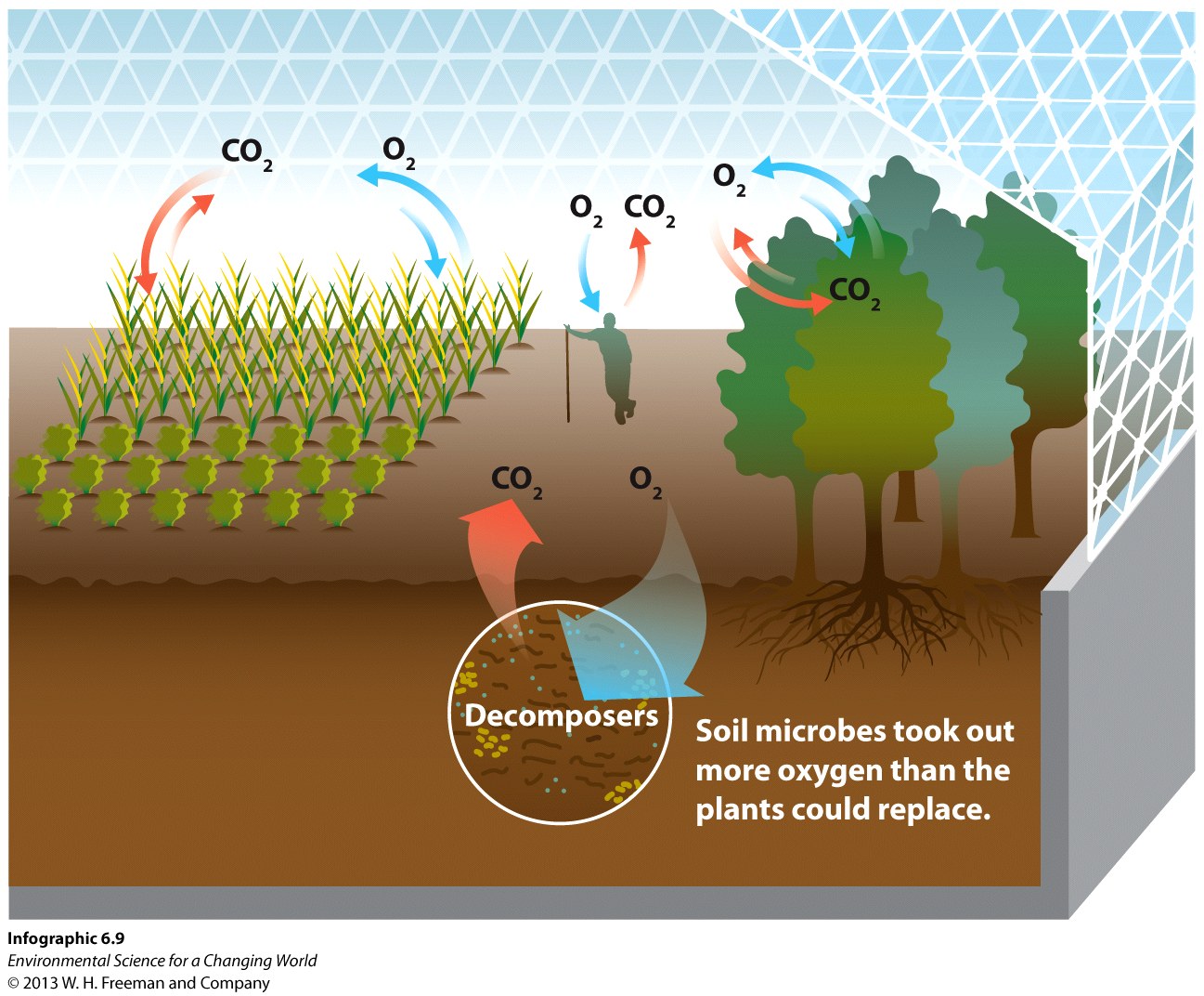Infographic 6.9: Oxygen Depletion in Biosphere 2