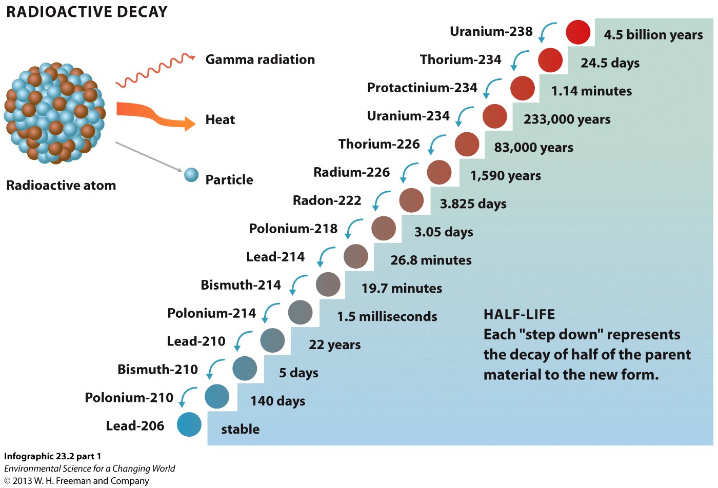 Infographic 23.2: Radioactive Decay
