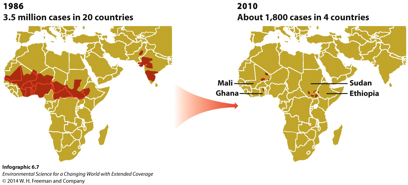 Infographic 6.7 Eradicating Guinea Worm Disease
