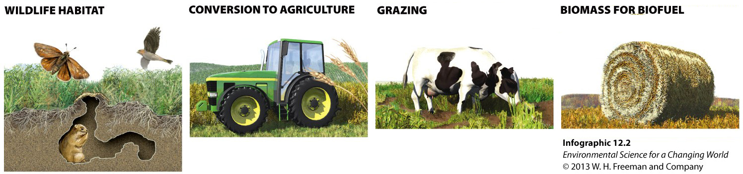 Infographic 12.2: Grassland Goods and Services