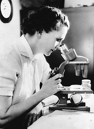 А woman looks through a microscope