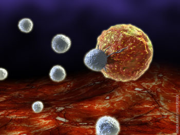 3D rendering of white blood cells attacking another cell