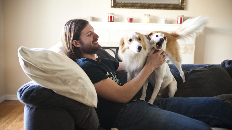 The image is a smiling man sitting on a couch, playing with two small dogs.