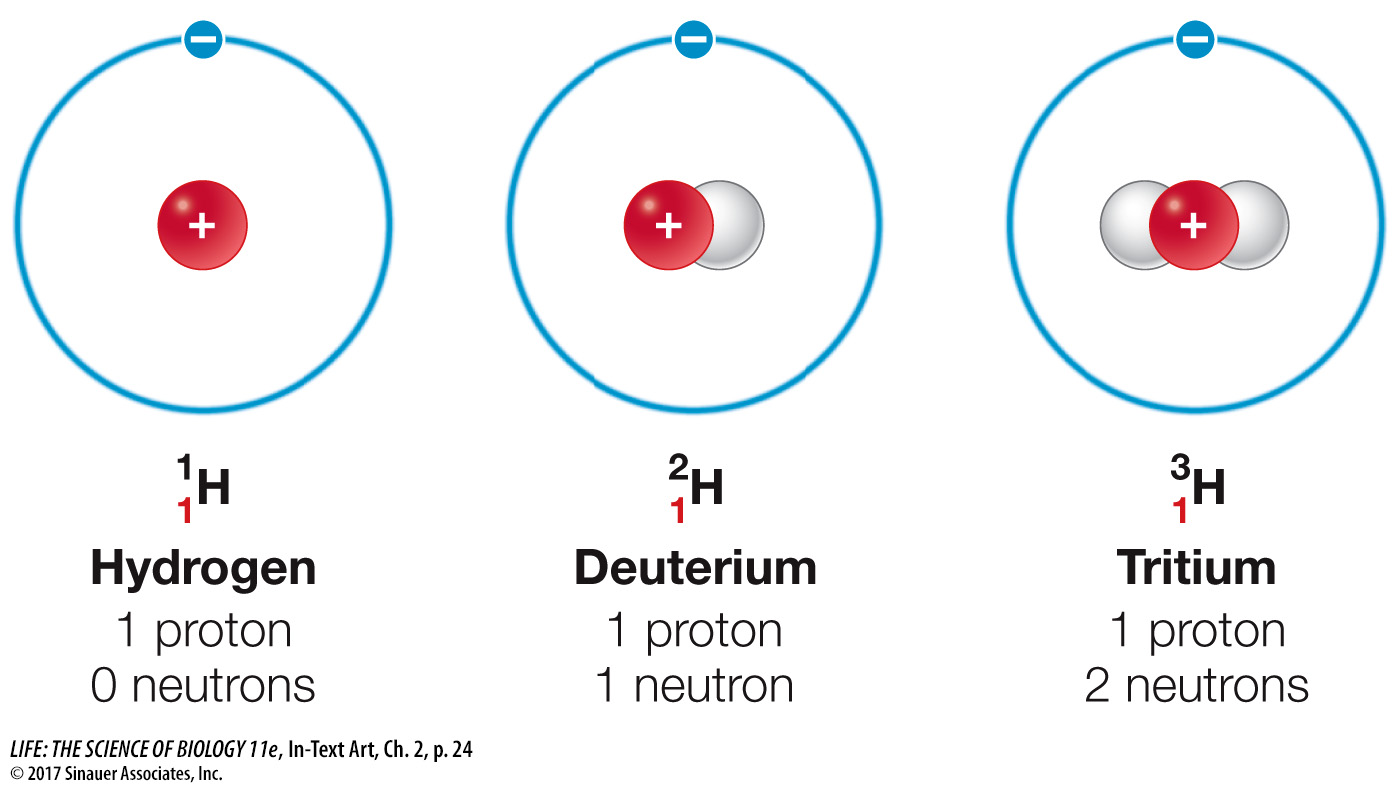hydrogen neutrons