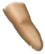 Finger