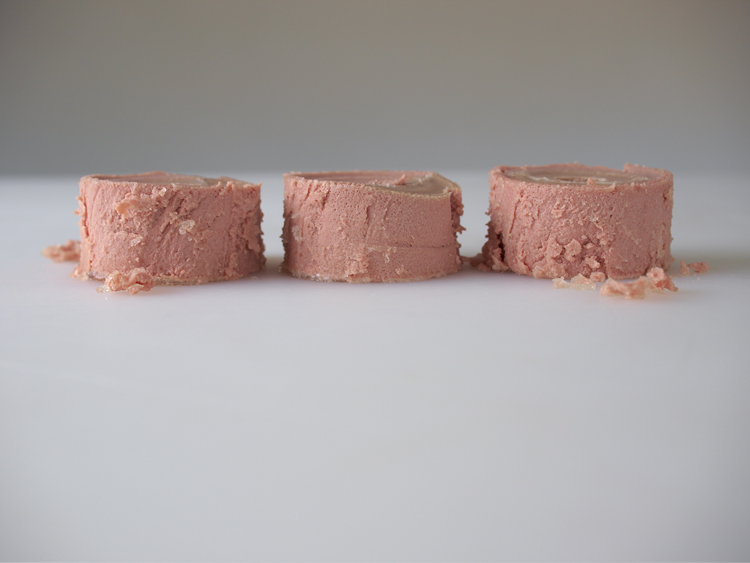One dollar’s worth of potted meat food product, 2008