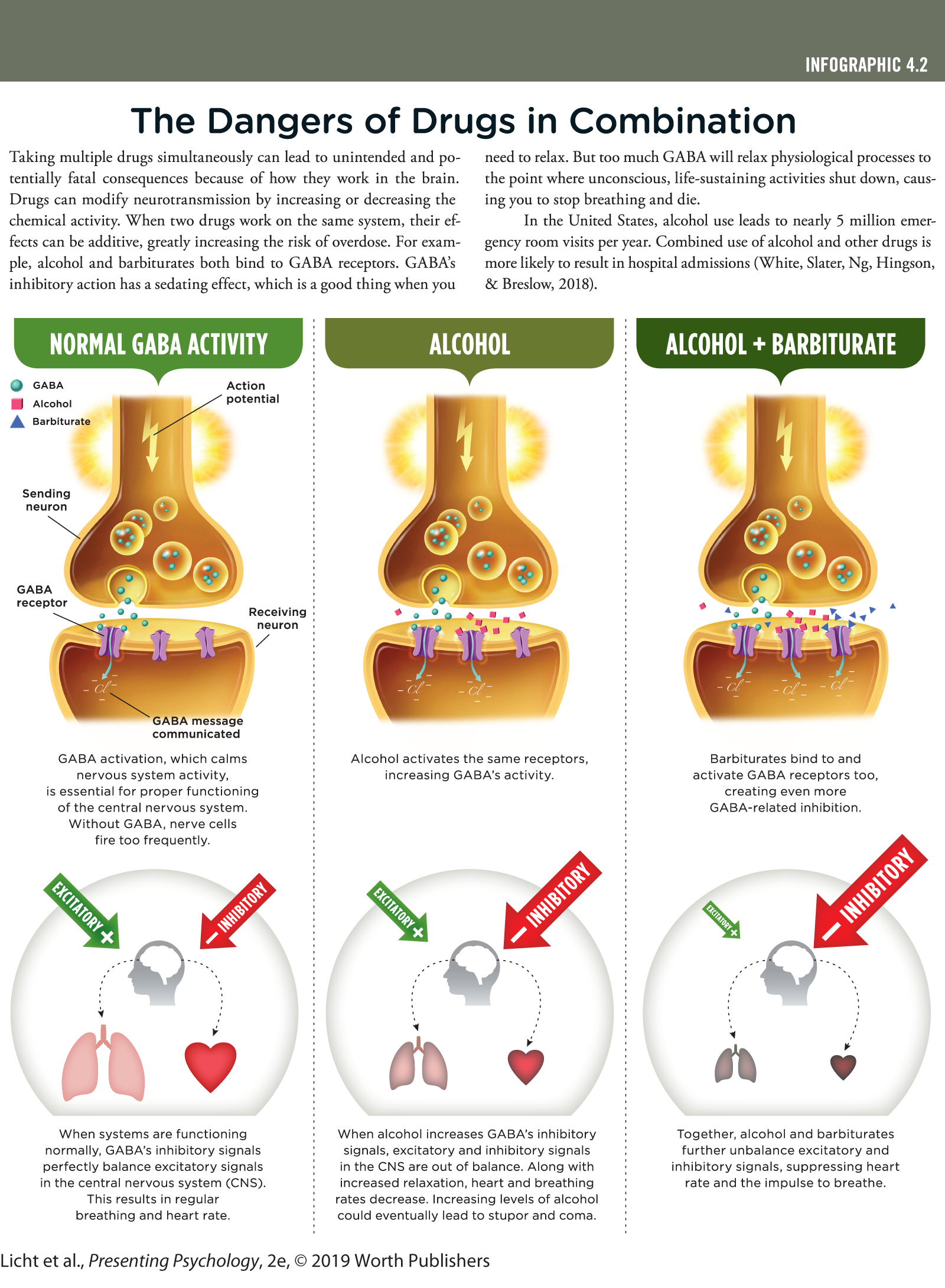 An infographic titled, The Dangers of Drugs in Combination. You can read full description from the link below