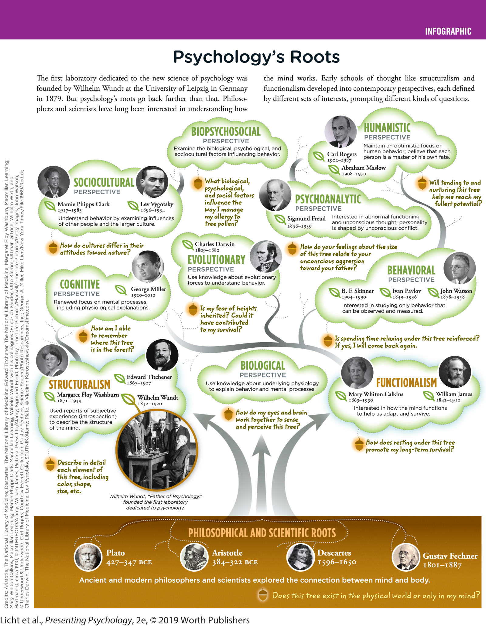 An infographic presented as a tree diagram shows the philosophical and scientific developments in the determining of psychology’s roots. You can read full description from the link below