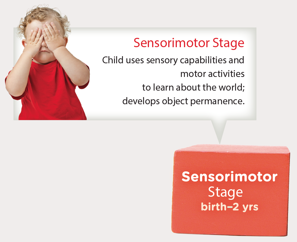 Photos of child playing peekaboo and test of object permanence, where toy is hidden from sitting child by barrier. Description of sensorimotor stage of a child development is written.