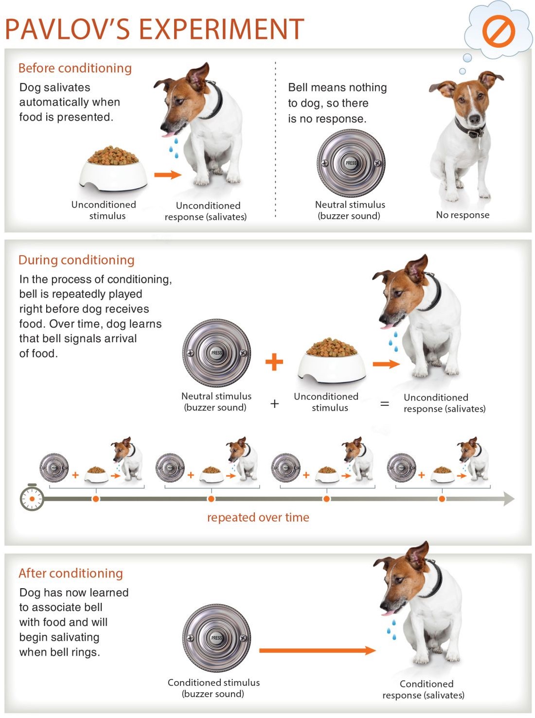 Pavlov’s experiment about classical conditioning.