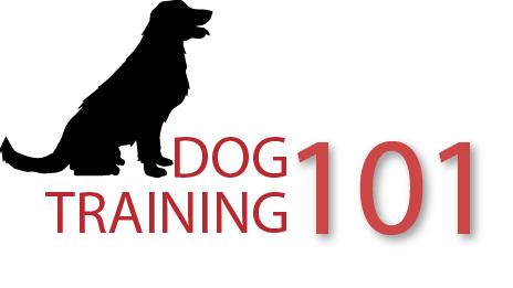 Logo of company “Dog training 101”.