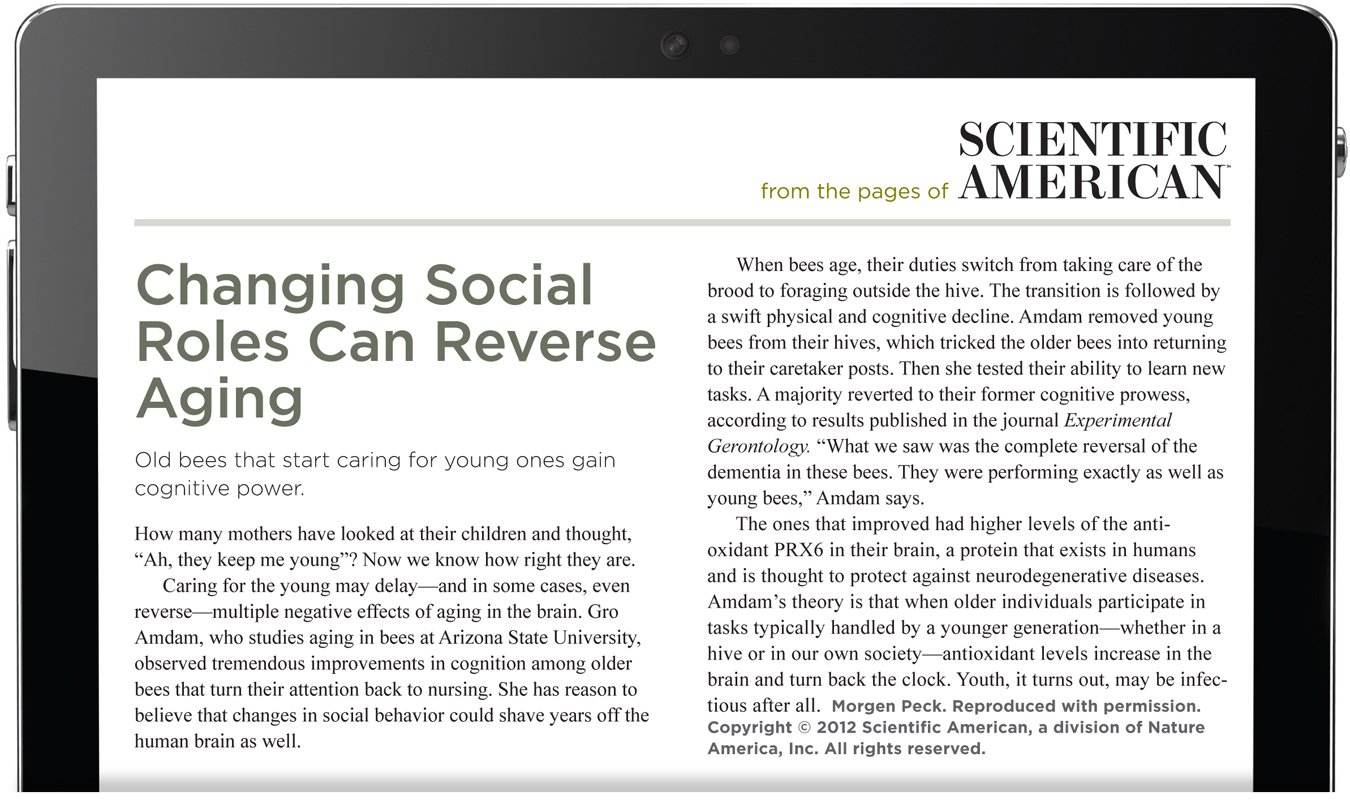 From the pages of Scientific American. Changing Social Roles Can Reverse Aging. Old bees that start caring for young ones gain cognitive power. How many mothers have looked at their children and thought, “Ah, they keep me young”? Now we know how right they are. Caring for the young may delay—and in some cases, even reverse—multiple negative effects of aging in the brain. Gro Amdam, who studies aging in bees at Arizona State University, observed tremendous improvements in cognition among older bees that turn their attention back to nursing. She has reason to believe that changes in social behavior could shave years off the human brain as well. When bees age, their duties switch from taking care of the brood to foraging outside the hive. The transition is followed by a swift physical and cognitive decline. Amdam removed young bees from their hives, which tricked the older bees into returning to their caretaker posts. Then she tested their ability to learn new tasks. A majority reverted to their former cognitive prowess, according to results published in the journal Experimental Gerontology. “What we saw was the complete reversal of the dementia in these bees. They were performing exactly as well as young bees,” Amdam says. The ones that improved had higher levels of the antioxidant PRX6 in their brain, a protein that exists in humans and is thought to protect against neurodegenerative diseases. Amdam’s theory is that when older individuals participate in tasks typically handled by a younger generation—whether in a hive or in our own society—antioxidant levels increase in the brain and turn back the clock. Youth, it turns out, may be infectious after all. The author is Morgen Peck. Reproduced with permission. Copyright 2012 Scientific American, a division of Nature America, Inc. All rights reserved.