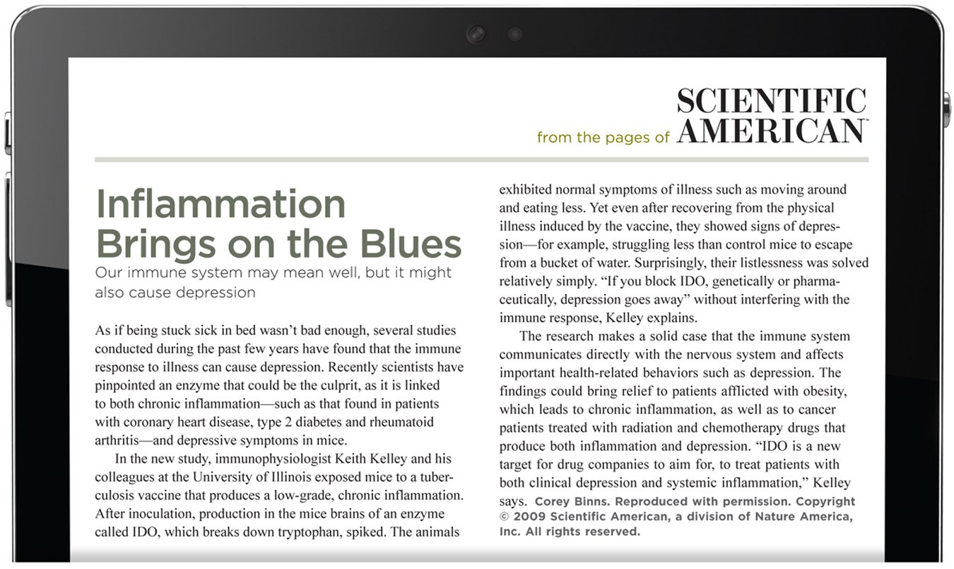 From the pages of Scientific American. Inflammation Brings on the Blues. Our immune system may mean well, but it might also cause depression. As if being stuck sick in bed wasn't bad enough, several studies conducted during the past few years have found that the immune response to illness can cause depression. Recently scientists have pinpointed an enzyme that could be the culprit, as it is linked to both chronic inflammation—such as that found in patients with coronary heart disease, type 2 diabetes and rheumatoid arthritis—and depressive symptoms in mice. In the new study, immunophysiologist Keith Kelley and his colleagues at the University of Illinois exposed mice to a tuberculosis vaccine that produces a low-grade, chronic inflammation. After inoculation, production in the mice brains of an enzyme called IDO, which breaks down tryptophan, spiked. The animals exhibited normal symptoms of illness such as moving around and eating less. Yet even after recovering from the physical illness induced by the vaccine, they showed signs of depression—for example, struggling less than control mice to escape from a bucket of water. Surprisingly, their listlessness was solved relatively simply. “If you block IDO, genetically or pharmaceutically, depression goes away” without interfering with the immune response, Kelley explains. The research makes a solid case that the immune system communicates directly with the nervous system and affects important health-related behaviors such as depression. The findings could bring relief to patients afflicted with obesity, which leads to chronic inflammation, as well as to cancer patients treated with radiation and chemotherapy drugs that produce both inflammation and depression. “IDO is a new target for drug companies to aim for, to treat patients with both clinical depression and systemic inflammation,” Kelley says. The author is Corey Binns. Reproduced with permission. Copyright 2009 Scientific American, a division of Nature America, Inc. All rights reserved.