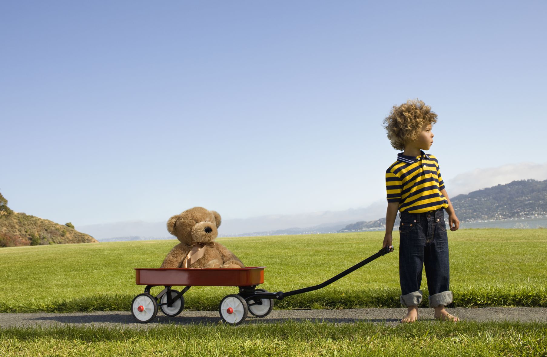 A child pulls a teddy bear in a red wagon. Behind them is a patch of grass and a body of water.