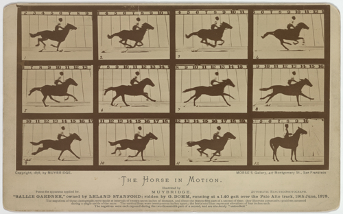 Image. Twenty black-and-white photos, arranged from left to right, top to bottom, in a five-by-four grid show a horse and rider jumping over a hurdle. Each photo shows a slightly different position for the horse and rider. Source Archives Charmet / The Bridgeman Art Library.