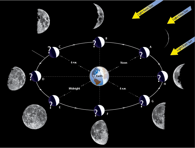 Moon's Phases Image