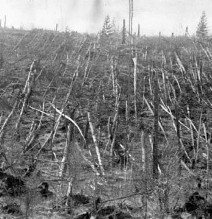 The Tunguska Event in 1908 decimated the ground for miles around