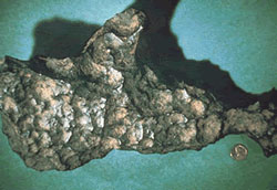 An iron meteorite