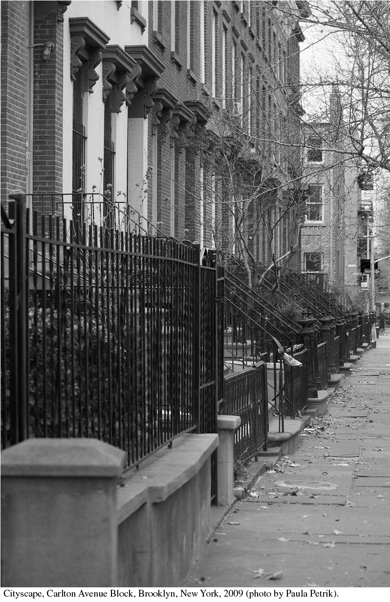 300 Block Carlton Avenue, Brooklyn, New York, 2009