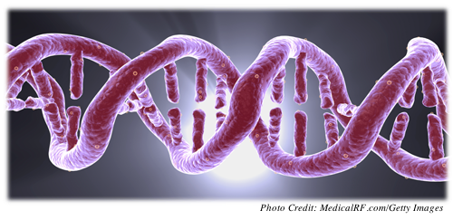 A color image showing the double-helix structure of DNA