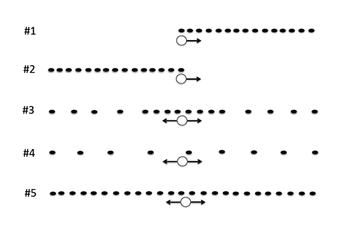 Autoradiographic patterns 1-5, showing open circles and arrows representing the origin location and direction of replication, respectively