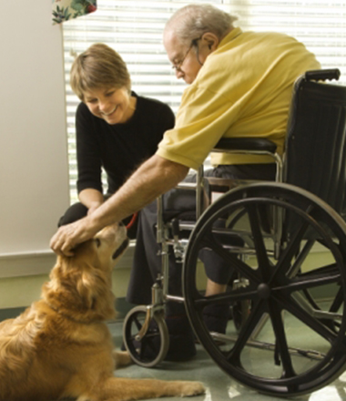 An elderly man in a wheelchair pets his dog while a lady sits next to them and smiles.