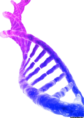A color image showing the double-helix of DNA