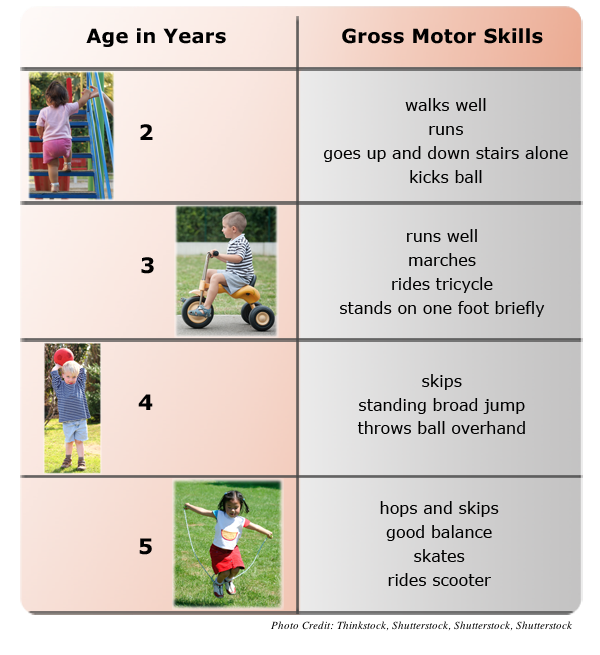 This table shows which gross motor skills appear at which age.  At around 2 years old, a child can walk well, run, go up and down stairs alone, and kick a ball.  At around 3 years old, a child can run well, march, ride tricycle, and stand on one foot briefly.  At around 4 years old, a child can skip, perform a standing broad jump, and throw a ball overhand.  At around 5 years old, a child can hop, skip, skate, ride a scooter, and demonstrate good balance.