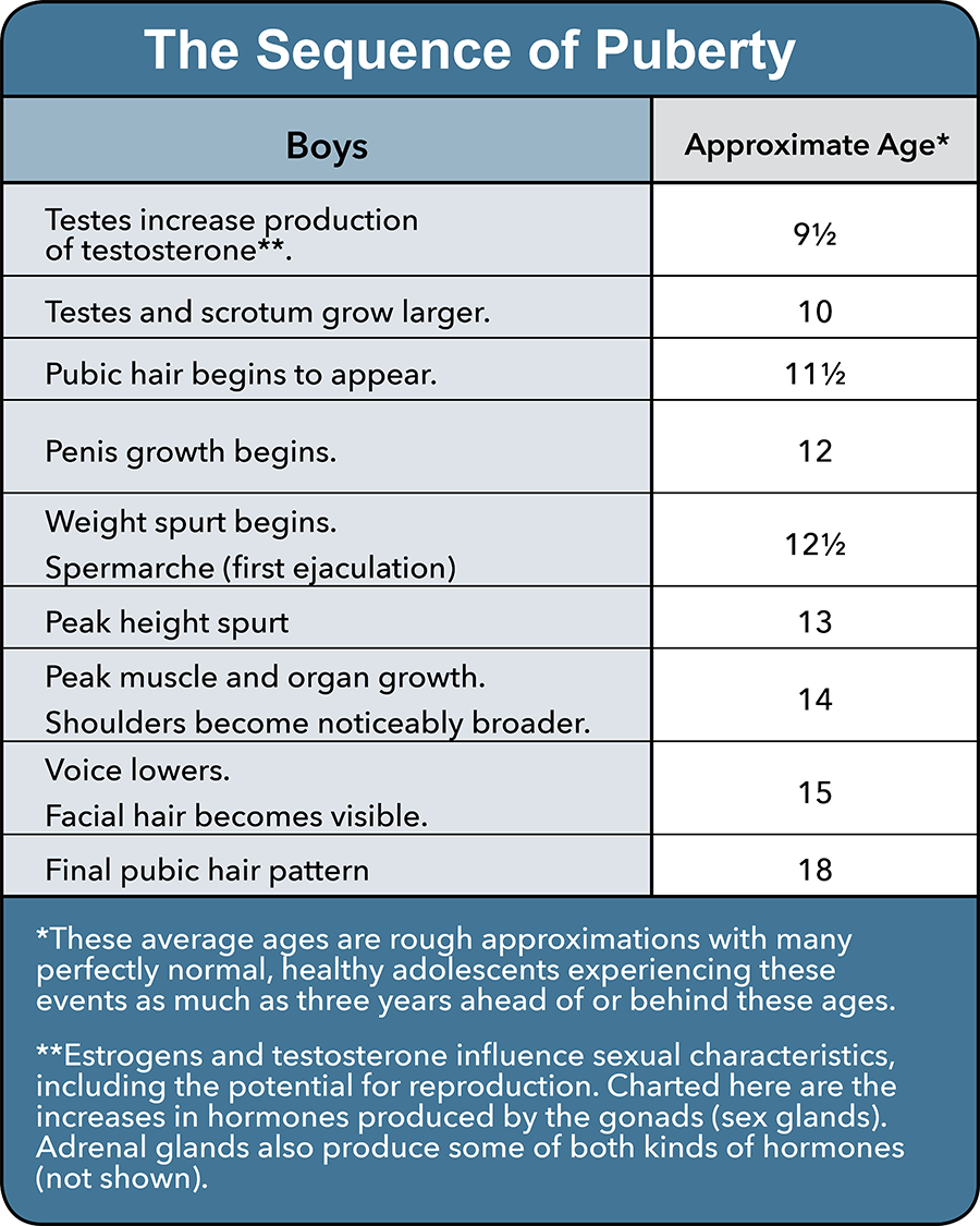 This table lays out the significant developments of puberty for boys and their approximate age of onset.  At approximately age 9 1/2, the testes increase production of testosterone.  At approximately age 10, the testes and scrotum grow larger.  At approximately age 11 1/2, pubic hair begins to grow.  At approximately age 12, the penis begins to grow.  At approximately age 12 ½, boys experience a weight spurt and their first ejaculation.  At approximately age 13, boys have their peak height spurt.  At approximately age 14, boys experience peak muscle and organ growth, and their shoulders become noticeably broader.  At approximately age 15, their voices lower, and facial hair becomes visible.  At approximately age 18, boys show the final pubic hair pattern.  Please note that these average ages are rough approximations, with many perfectly healthy adolescents as much as three years ahead of or behind these ages.  Also, estrogen and testosterone influence sexual characteristics, including the potential for reproduction. Charted in this table are the increases in hormones produced by the gonads (sex glands). Adrenal glands produce some of both kinds of hormones (not shown).