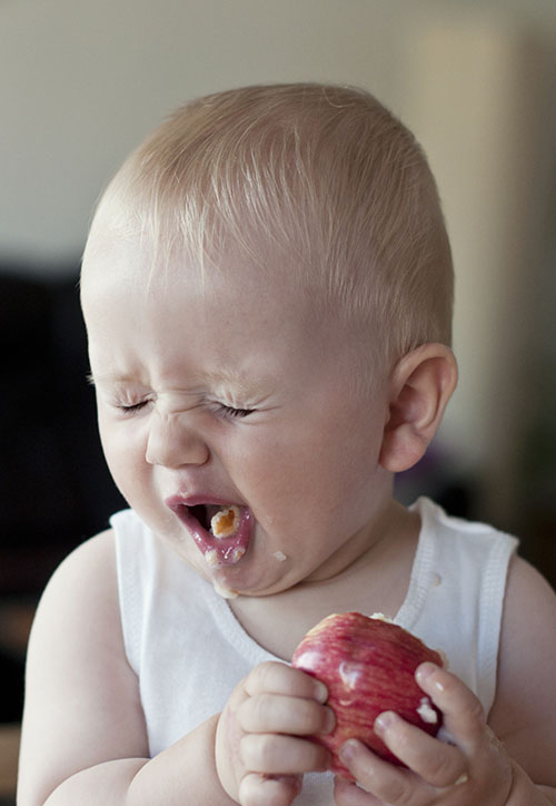 Small baby tasting apple.