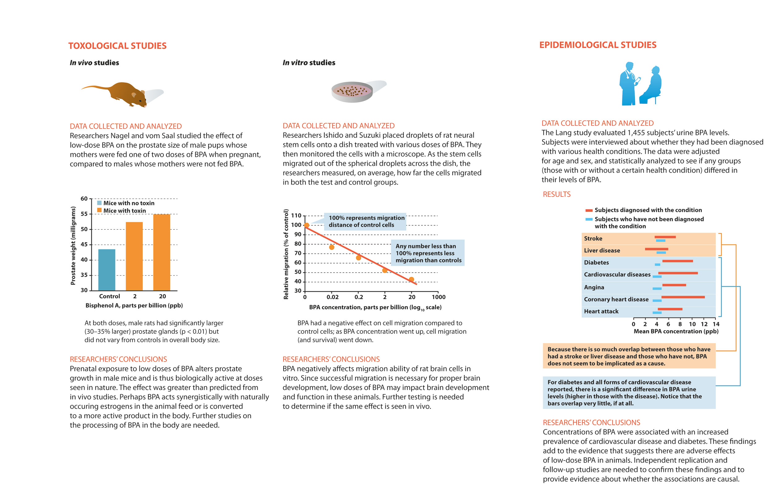 Infographic 3.3 BPA studies
