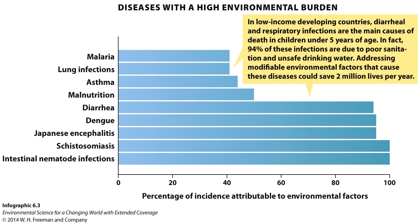 Infographic 6.3: Environmental Factors Contribute to the Global Burden of Disease