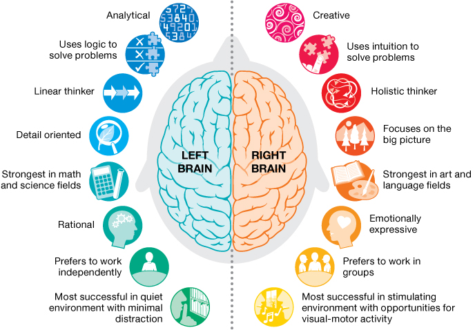 An illustration of the human brain differentiates the psychological behaviors associated with the right and left sides of the brain. 