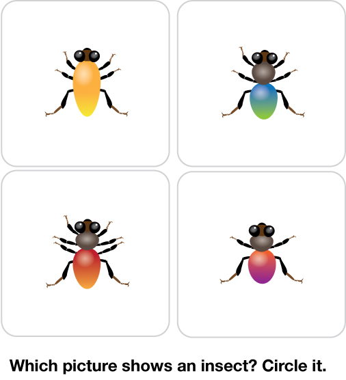 An illustration entitled “which picture shows an insect” has four different insects with different numbers of body parts and legs. This illustration tests the child’s learning ability in both decorated and undecorated classrooms. 