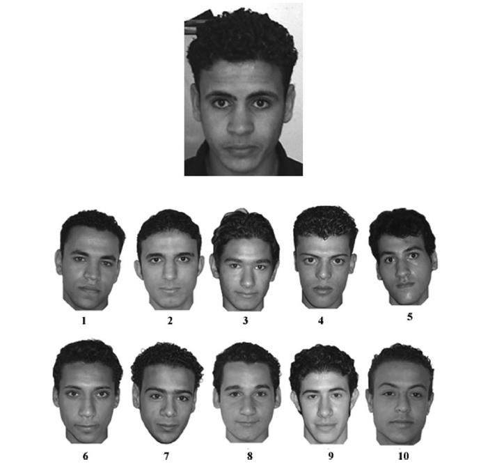 This photo shows different male faces and is used for an eyewitness memory test.