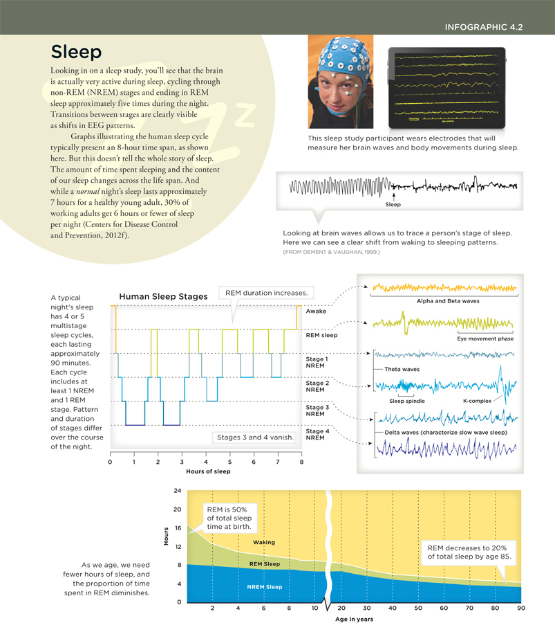 This sleep study participant wears electrodes that will measure her brain waves and body movements during sleep. Looking at brain waves allows us to trace a person’s stage of sleep. Here we can see a clear shift from waking to sleeping patterns. A typical night’s sleep has 4 or 5 multistage sleep cycles, each lasing approximately 90 minutes. Each cycle includes at least 1 NREM and 1 REM stage. Pattern and duration of stages differ over the course of the night. Alpha and beta waves correspond to an awake person. Eye movement phase can happen in REM sleep. Theta waves are common for stages 1 and 2 NREM. Sleep spindle and K-complex are common for Stage 2 NREM. Delta waves characterize slow wave sleep and are common for stages 3 and 4 NREM. As we age, we need fewer ours od sleep. And the proportion of time spent in REM diminishes. REM is 50 percent of total sleep time at birth. REM decreases to 20 percent of total sleep by age 85.