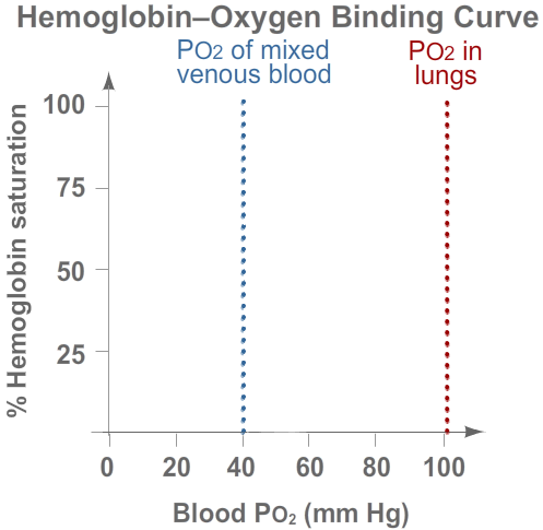 Hemoglobin-Oxygen Binding Graph