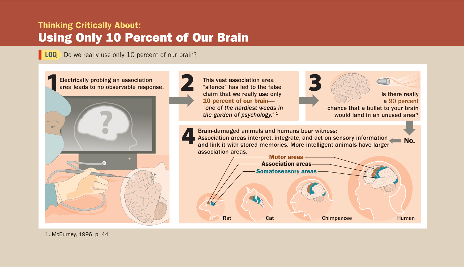 An infographic titled Using More than 10 Percent of Our Brain is shown. You can read full description from the link below
