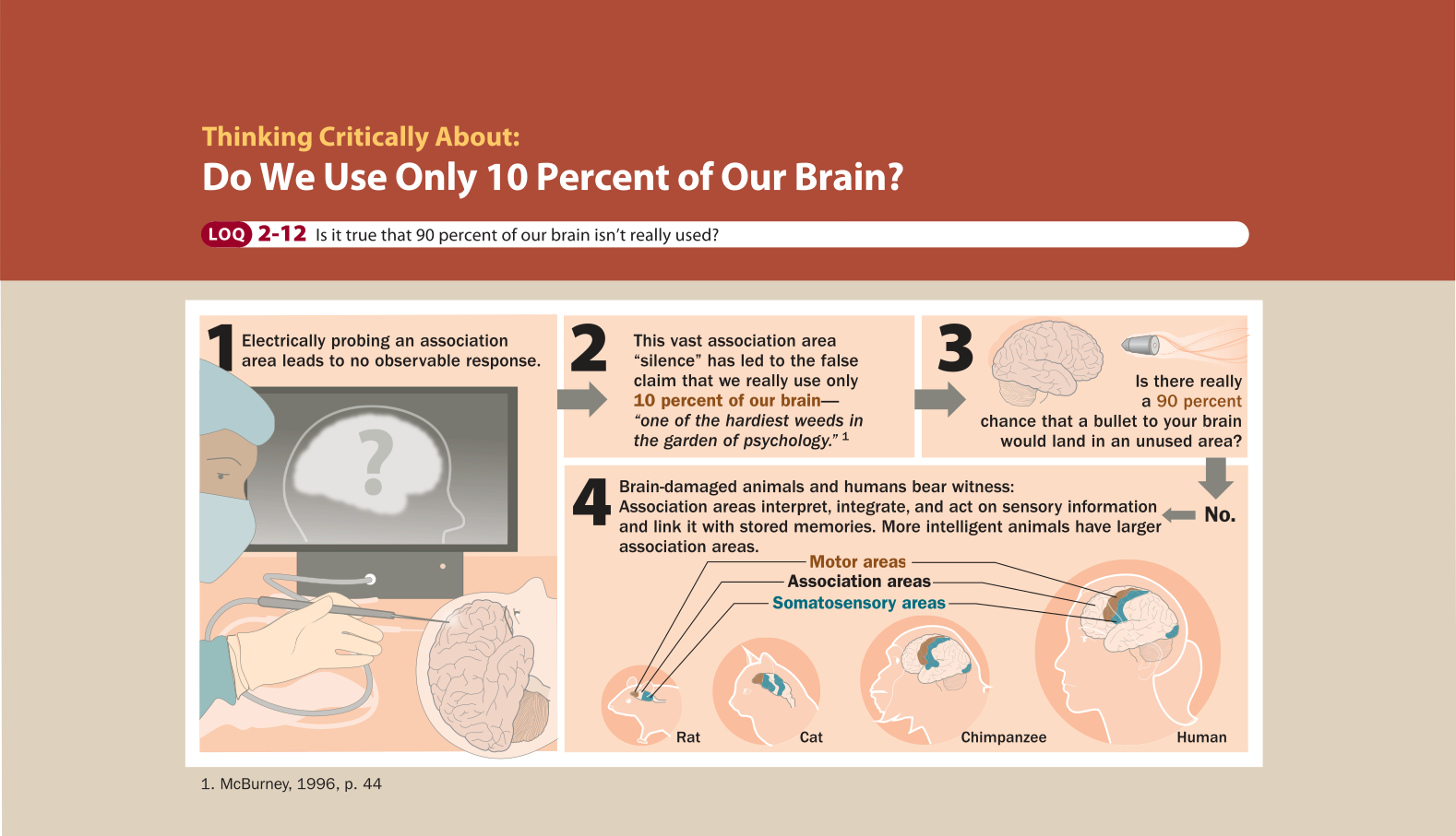 An infographic titled Using More than 10 Percent of Our Brain is shown. You can read full description from the link below