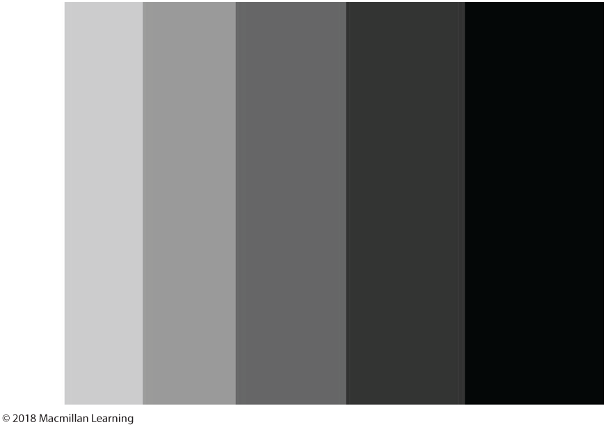 A color scale shows shades of gray and black.