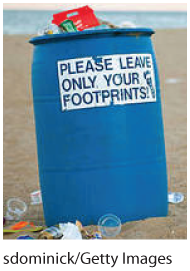 A cropped photo of the trash can on the beach.
